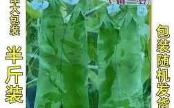 什么品种荷兰豆不用搭架？