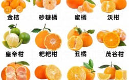 现在柑桔有哪些新品种？