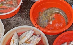 广东水产品出口主打哪些品种？