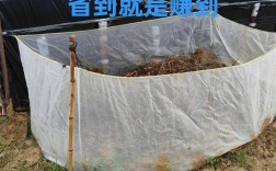 室内蚯蚓养殖技术推广