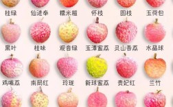 广东荔枝品种知多少？
