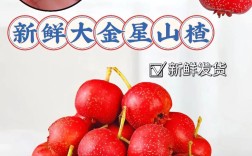 哪种山楂适合做加工？