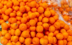 小橘子是什么品种？