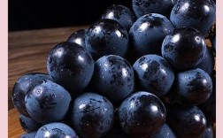 黑色葡萄有哪些常见品种？
