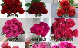 微型玫瑰品种有哪些？