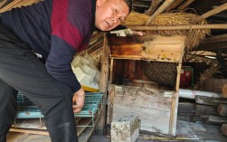 最先进养蜂技术有哪些突破？