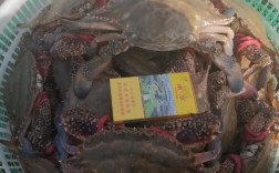 大棚暂养螃蟹越冬剩蟹技术，如何提高成活率与品质？