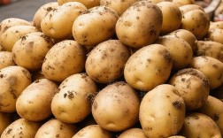 2025年3月土豆价格会涨还是会跌？