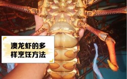 澳洲龙虾淡水养殖技术难点有哪些？