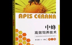 2025新式养蜂技术如何革新传统养蜂业？