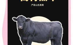 黑牛品种那个地方好