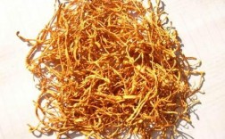 北虫草价格多少钱一斤？