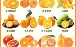 柑橘有哪些新品种？