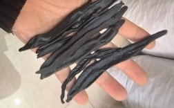 2025年蚂蟥价格会涨还是跌？