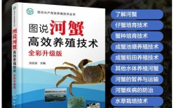 成蟹如何高产高效养殖？