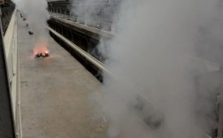 白羽肉鸡养殖技术有哪些关键要点？