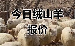 山东山羊价格行情将如何变动？