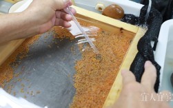 黄鳝育苗技术难点何在？