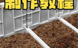 稻草泡沫版种草菇技术可行吗？