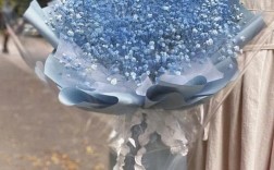 满天星什么品种是蓝色