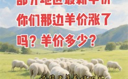 2025活羊价格多少钱一斤？