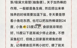 养鱼技术要领有哪些关键点？