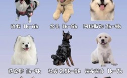 肉狗一组价格多少？