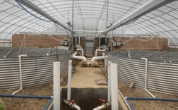 物理技术如何精准调控养殖水质？