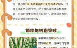 冬季盆栽葱怎么种？视频教你技术要点