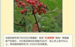 最近几年花椒价格行情