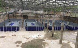 生物絮团技术如何实现高效水产养殖？