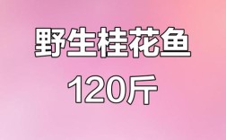 佛山桂花鲈鱼今日价格多少？