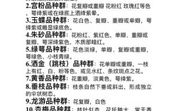 新手养梅花，哪个品种最好养？