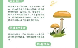 蘑菇种植配料方法有哪些关键要点？