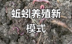 粪便如何高效发酵养蚯蚓？