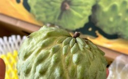 高档水果品种有哪些？