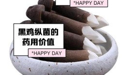 鸡用益生菌价格究竟是多少？