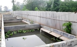 重庆甲鱼养殖技术培训