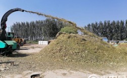 秋后玉米秸秆黄贮技术如何高效利用？