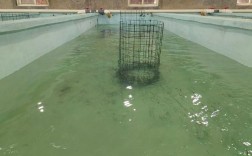 海蜇池塘立体养殖技术怎么搞？