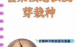 芒果栽培技术视频教程，怎么学更高效？