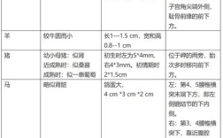 牛胚胎移植技术究竟有何重大意义？
