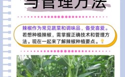 辣椒种植技术视频有哪些要点？