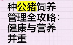 种公猪饲养管理有何关键要点？