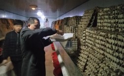 郑州药用蝎子养殖技术难点有哪些？