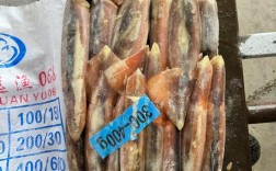 2025年阿根廷鱿鱼价格会涨还是跌？