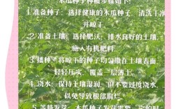 海南木瓜种子怎么种才高产？