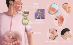 布鲁氏菌病防治技术规范有何关键要点？