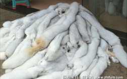 2025年3月狐狸皮价格会涨还是会跌？