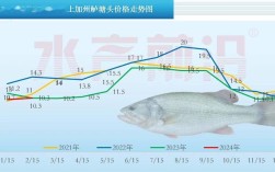 河南加州鲈鱼价格接下来会涨还是跌？